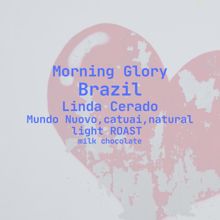Coffee Corner - Morning Glory