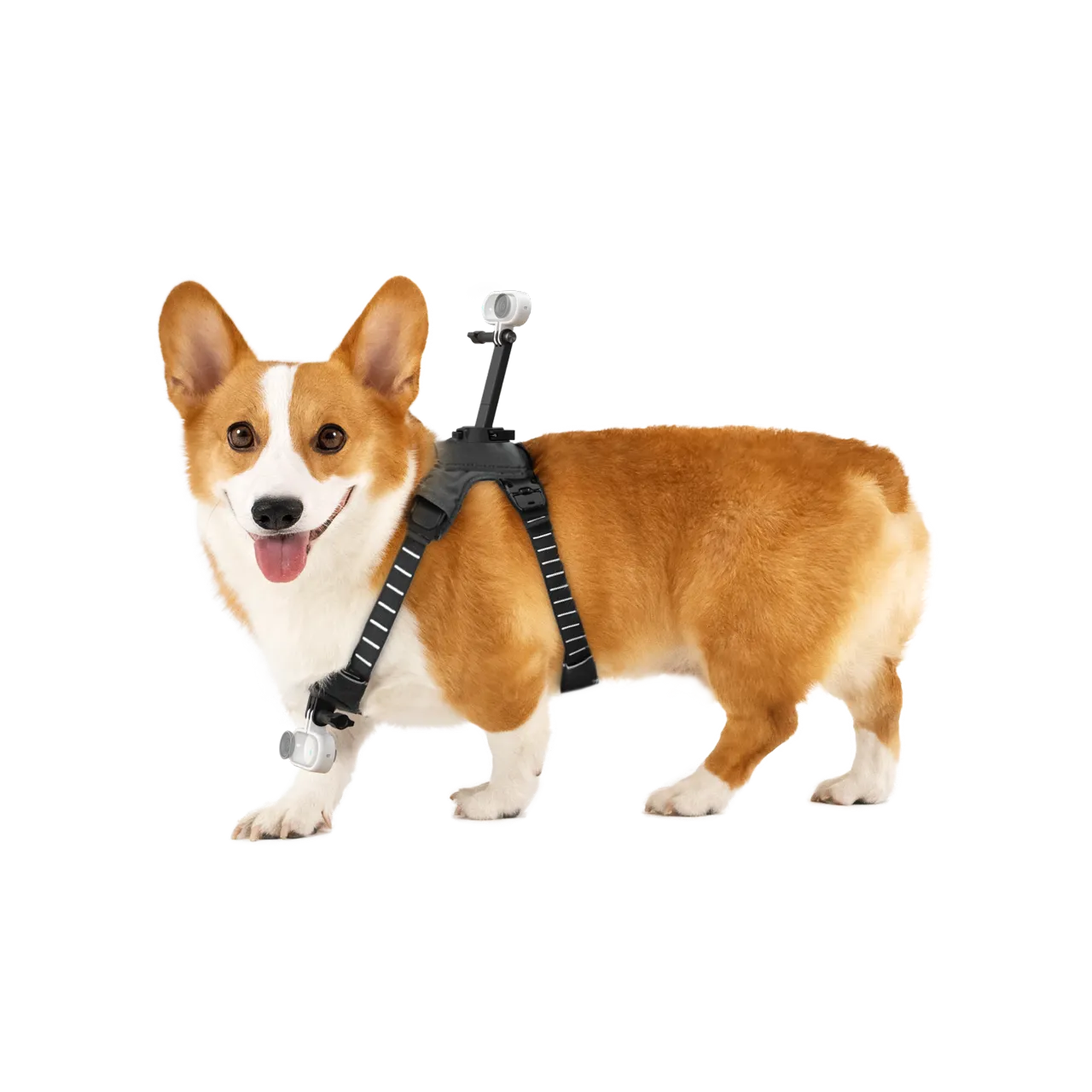 Insta360 Accesoriu 360 - CINSBAVW [3]