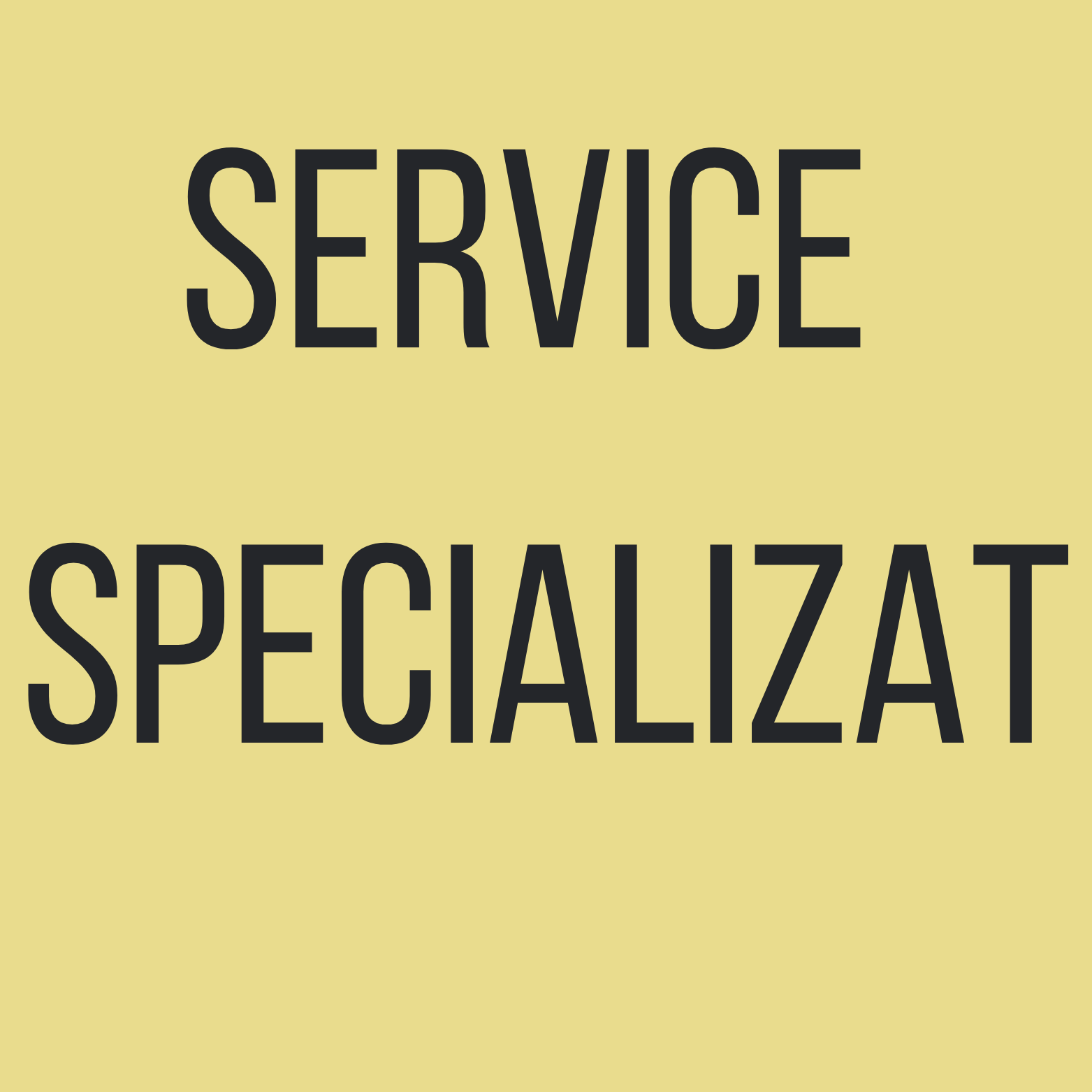 Service specializat - post garanție