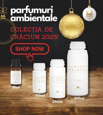 Banner secundar craciun 2025