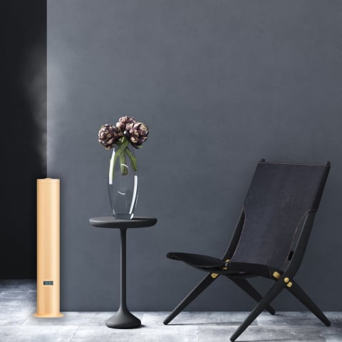 difuzor-parfum-podea-imperium-gold-nebulizare-lux.jpg [4]