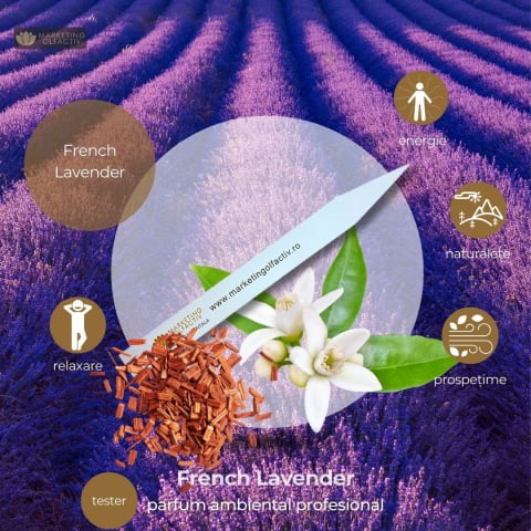 Scent samples - French Lavender Ambient Fragrance - Calm and Natural Elegance