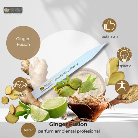 Scent samples - Ginger Fusion Ambient Fragrance - Refreshing and Energizing Freshness