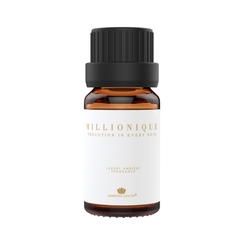 Parfumuri ambientale profesionale - Parfum Ambiental Million Amber & Cinnamon - Lux și Rafinament Desăvârșit