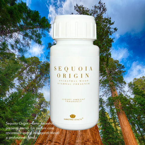 sequoia-origin-parfum-de-ambient-lemnos-100ml.jpg [1]