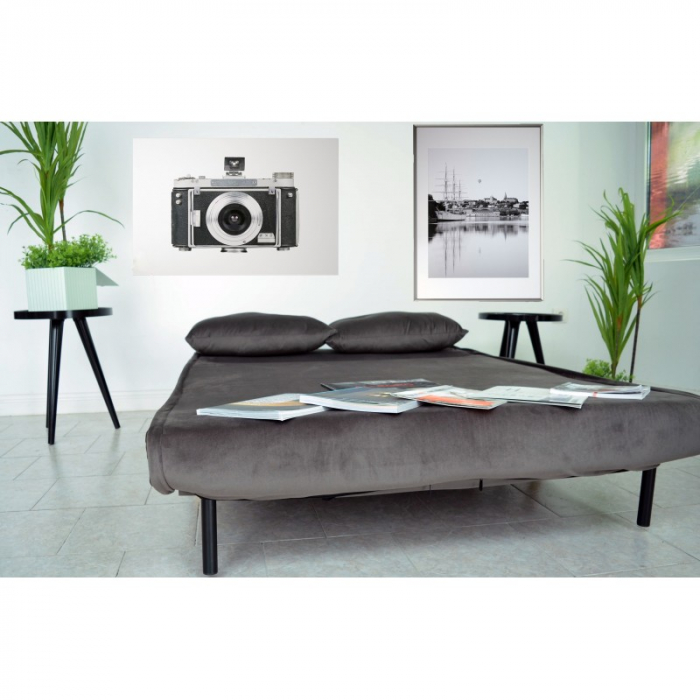 Canapea Extensibila 123x77x190 cm Catifea Light Grey [5]