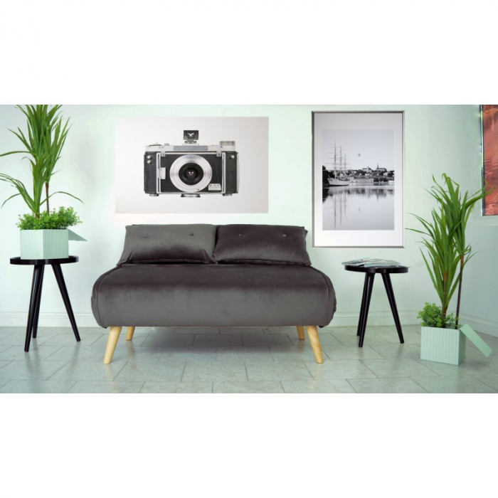 Canapea Extensibila 123x77x190 cm Catifea Light Grey [2]