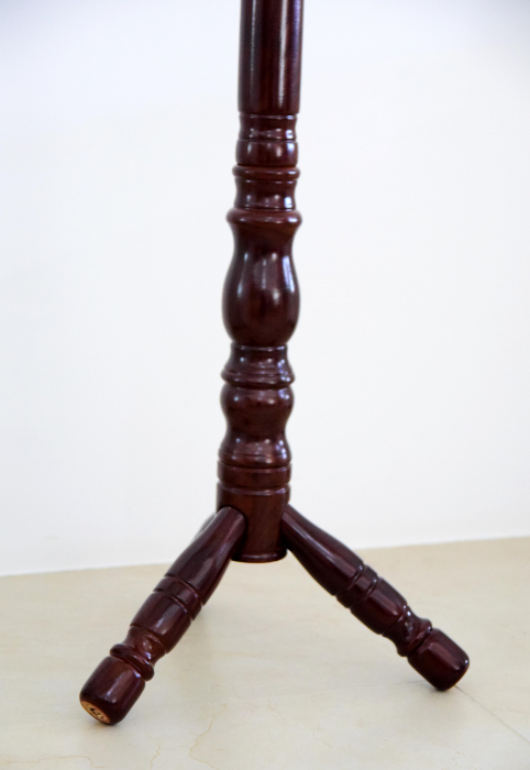 Cuier Pom 46x185 cm Model 506 Maro [4]