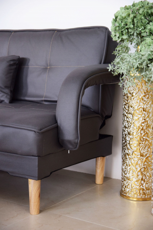 Canapea Clara 200x78x62 cm Rabatabila Catifea Gri [4]