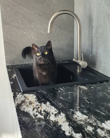 GRANIT BLACK FOREST [6]