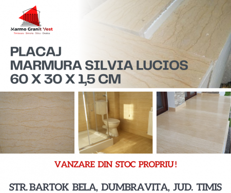 MARMURA SILVIA 60X30X1,5 CM LUCIOS [4]