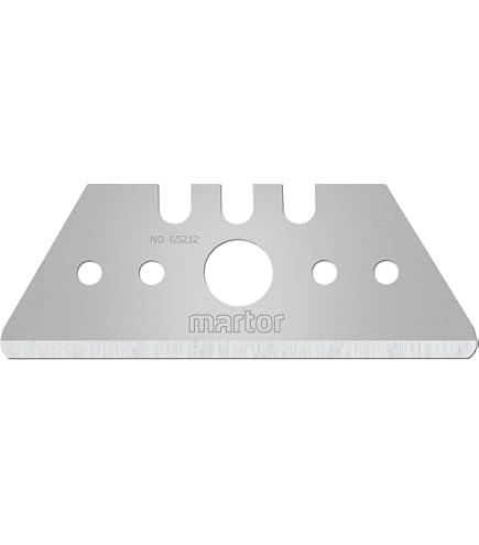 95510037 / 95510099 10 LAME TRAPEZ COLOREXPERT [1]