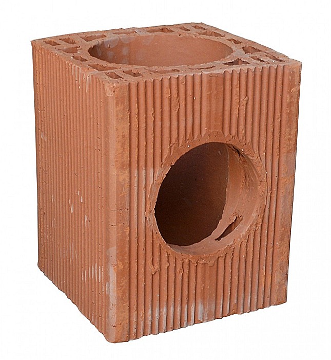 CARAMIDA COS FUM CU RAMIFICATIE, D 250 MM [2]