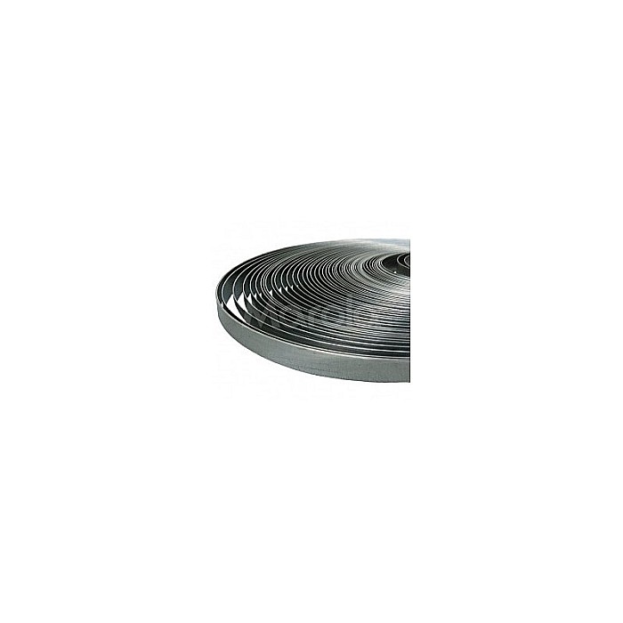 PLATBANDA ZINCATA, 25X3MM [1]