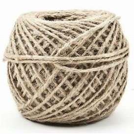 NextUp - 443190 SFOARA RAFIE GHEM ALBA VENUS