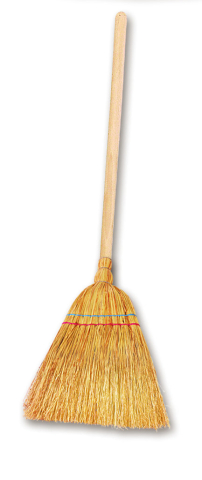 CASA SI GRADINA - MATURA PAIE 