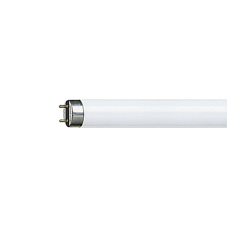 Corp NEON - TUB NEON, TL-D 36W SNOW WHITE, PHILIPS