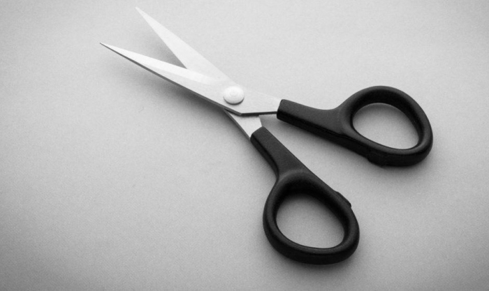 Foarfeca cusaturi cu manere din nailon 12.5 cm Fraliz 3905 (5") [2]