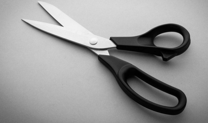 Foarfeca de croitorie cu manere din nailon 21.5 cm Fraliz 3904 (8") [2]