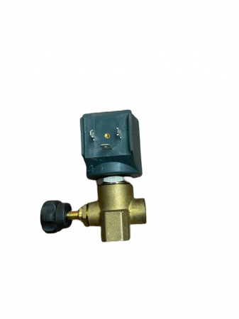 Electrovalva pentru generator cu abur, 9934 (405.N) [1]