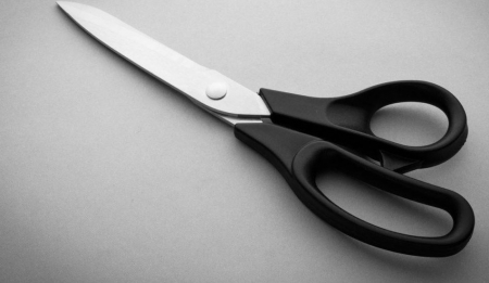 Foarfeci Fraliz - Foarfeca de croitorie cu manere din nailon 21.5 cm Fraliz 3904 (8")