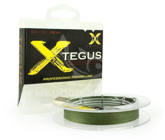 Fir impletit X-TEGUS 150m #0,4 6lb moss green [1]