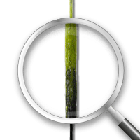 Fir textil pentru forfac KATRAN FLEX 25LB, 20m [3]