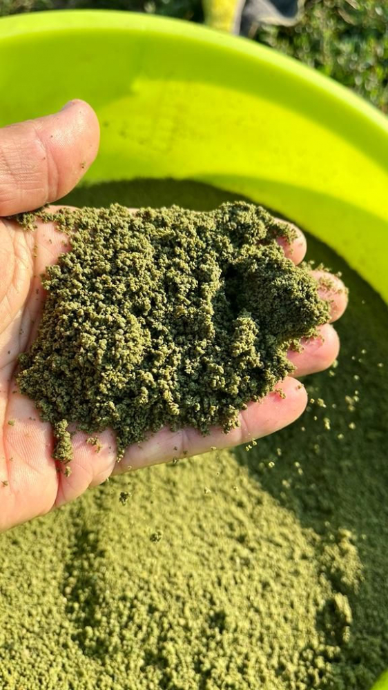 Пеллет Диск Feeder GREEN BETAIN 800g [3]
