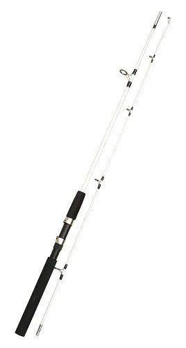 Spinning CROCODILE 2.7m 100-250gr. [2]