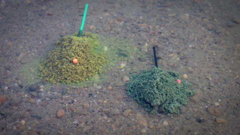 Pelet Disc Feeder GREEN BETAIN 800g [4]