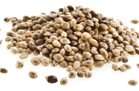 Seminte si mix de seminte - Seminte de canepa uscata 500g