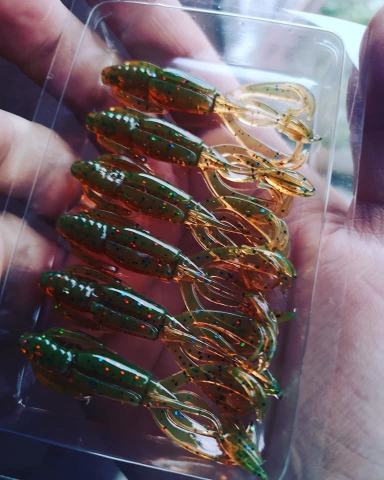 Momeli la rapitor - Silicon ASTRUM "Floper" 2.5 inc