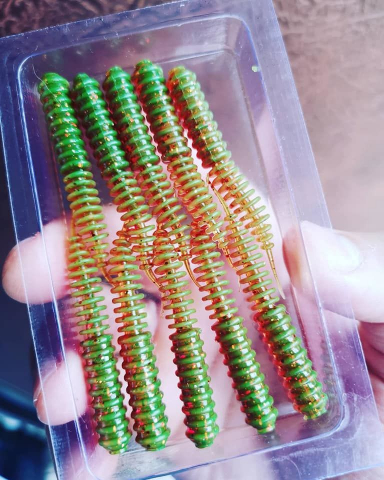 Momeli la rapitor - Silicon ASTRUM "Vagabond" 1.5 inc
