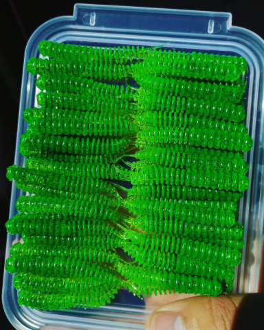 Silicon ASTRUM "Vagabond" 1.5 inc [2]