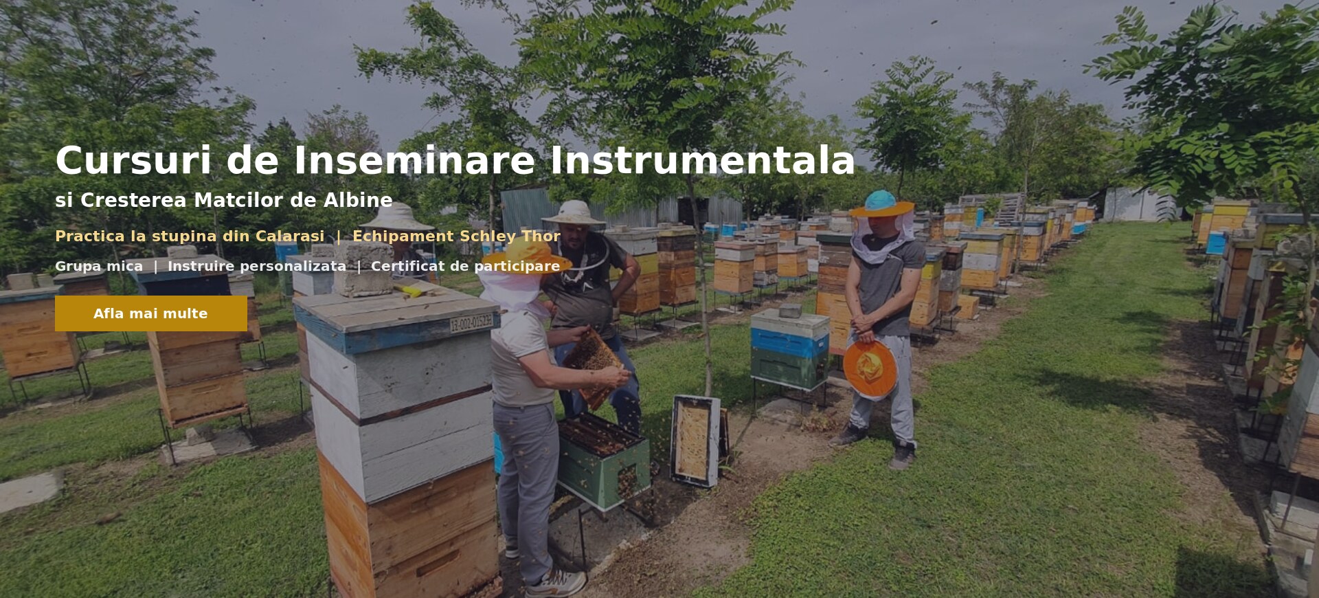 Cursuri de inseminare instrumentală și creșterea mătcilor