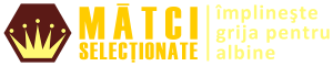 MatciSelectionate.ro