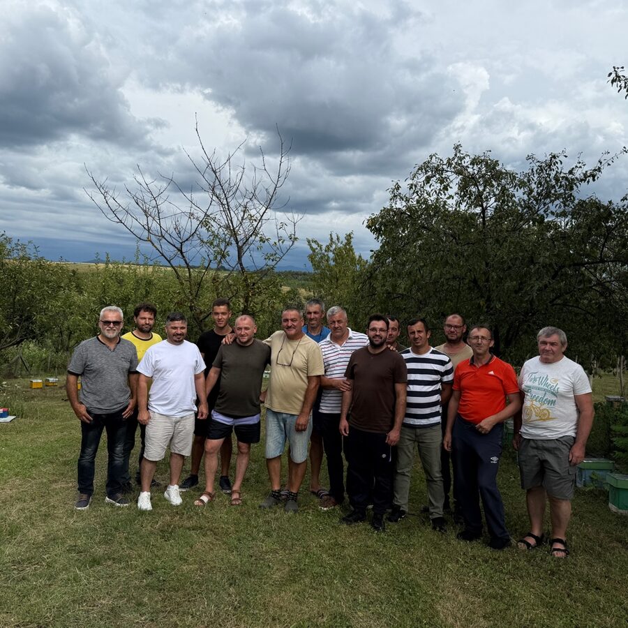 Buckfast vs Carnica vs Carpatica — Ghid comparativ