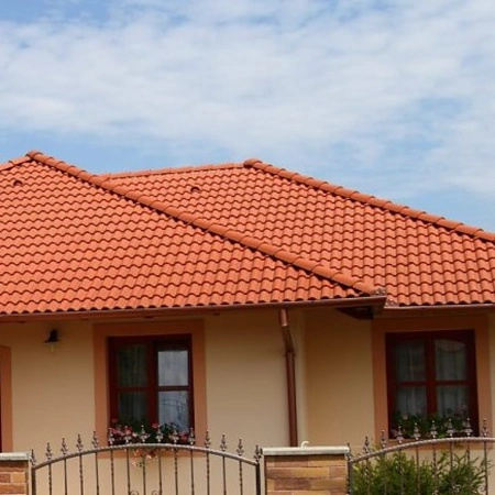 Tigla de baza 1/1 din beton Terran Danubia natur, 330 x 420 mm [2]