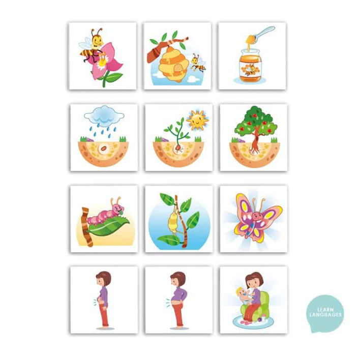 Calendarul saptamanal [2]