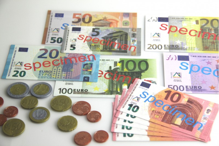 Casierie EURO pentru elevi [3]