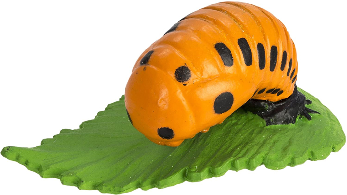 Set de figurine, ciclul vietii la buburuza [6]