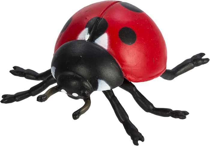 Set de figurine, ciclul vietii la buburuza [4]