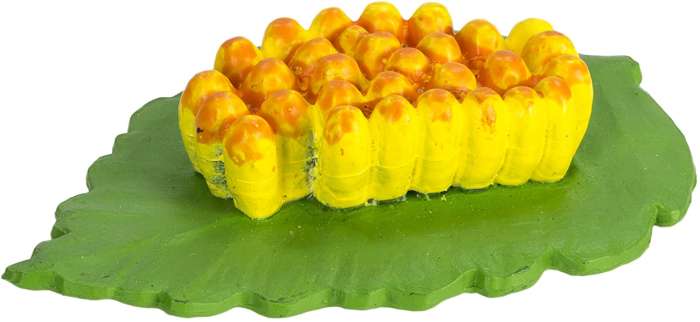 Set de figurine, ciclul vietii la buburuza [7]