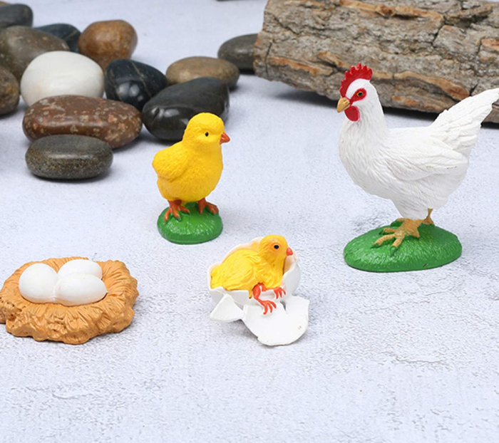 Set de figurine, ciclul vietii la gaina [2]