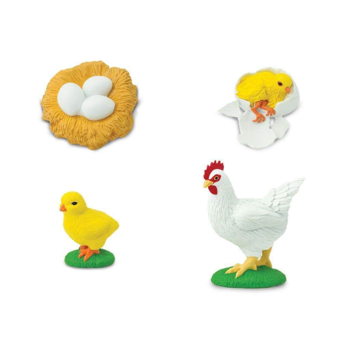 Set de figurine, ciclul vietii la gaina [6]