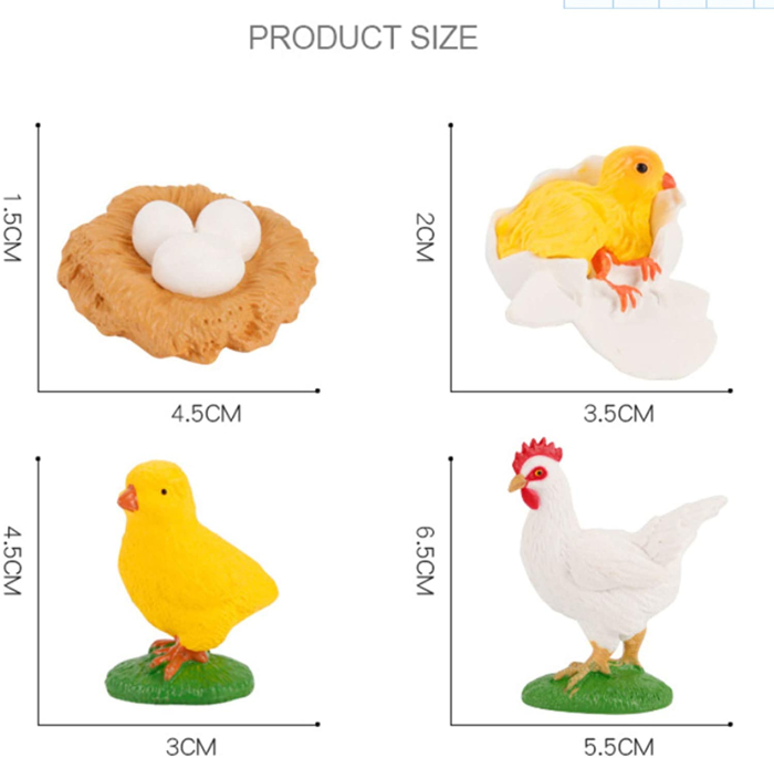 Set de figurine, ciclul vietii la gaina [5]