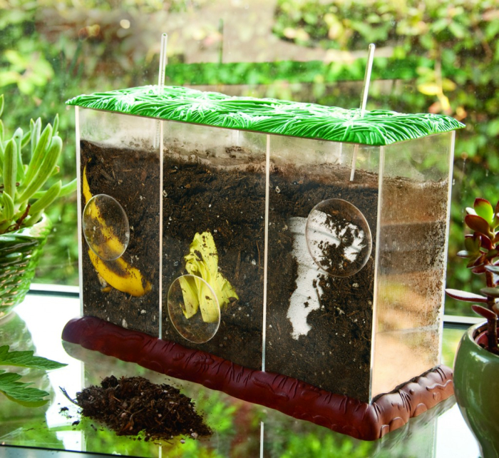 Compostarea deseurilor [5]