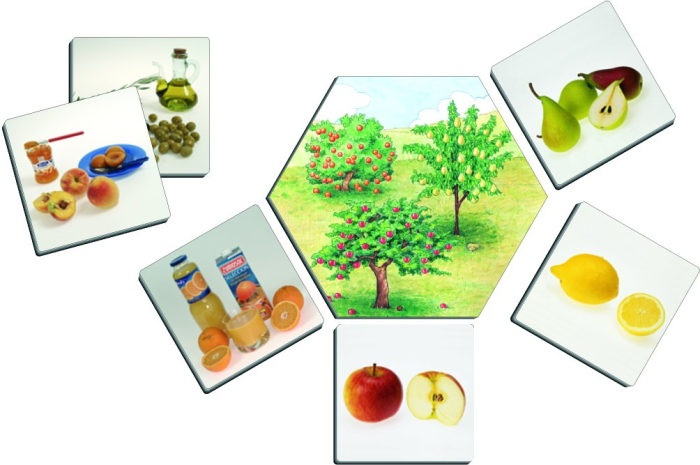 De unde provin alimentele [6]