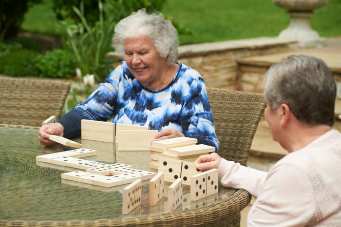Domino din lemn gigant [10]