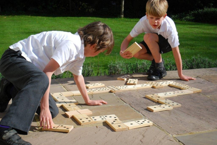 Domino din lemn gigant [5]